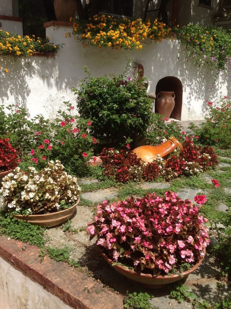 Mediterraneo Bed & Breakfast 아나카프리 외부 사진