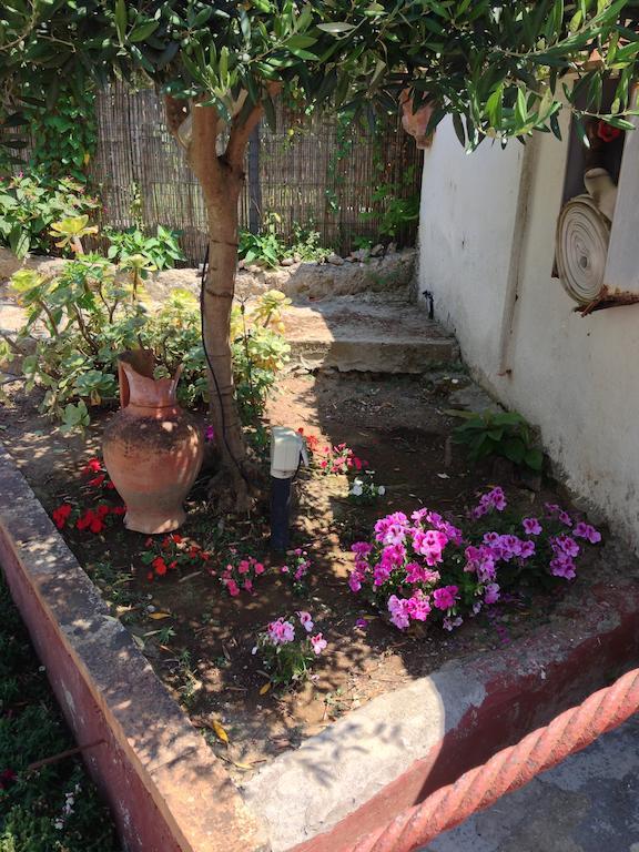 Mediterraneo Bed & Breakfast 아나카프리 외부 사진