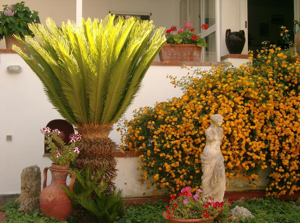 Mediterraneo Bed & Breakfast 아나카프리 외부 사진
