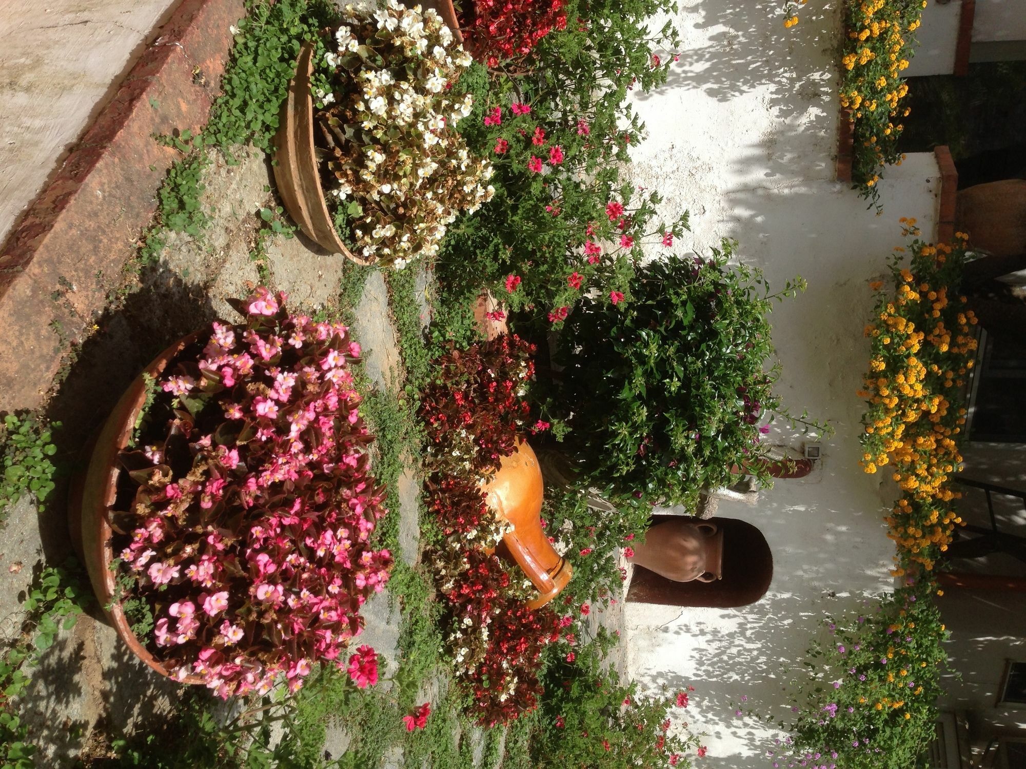Mediterraneo Bed & Breakfast 아나카프리 외부 사진
