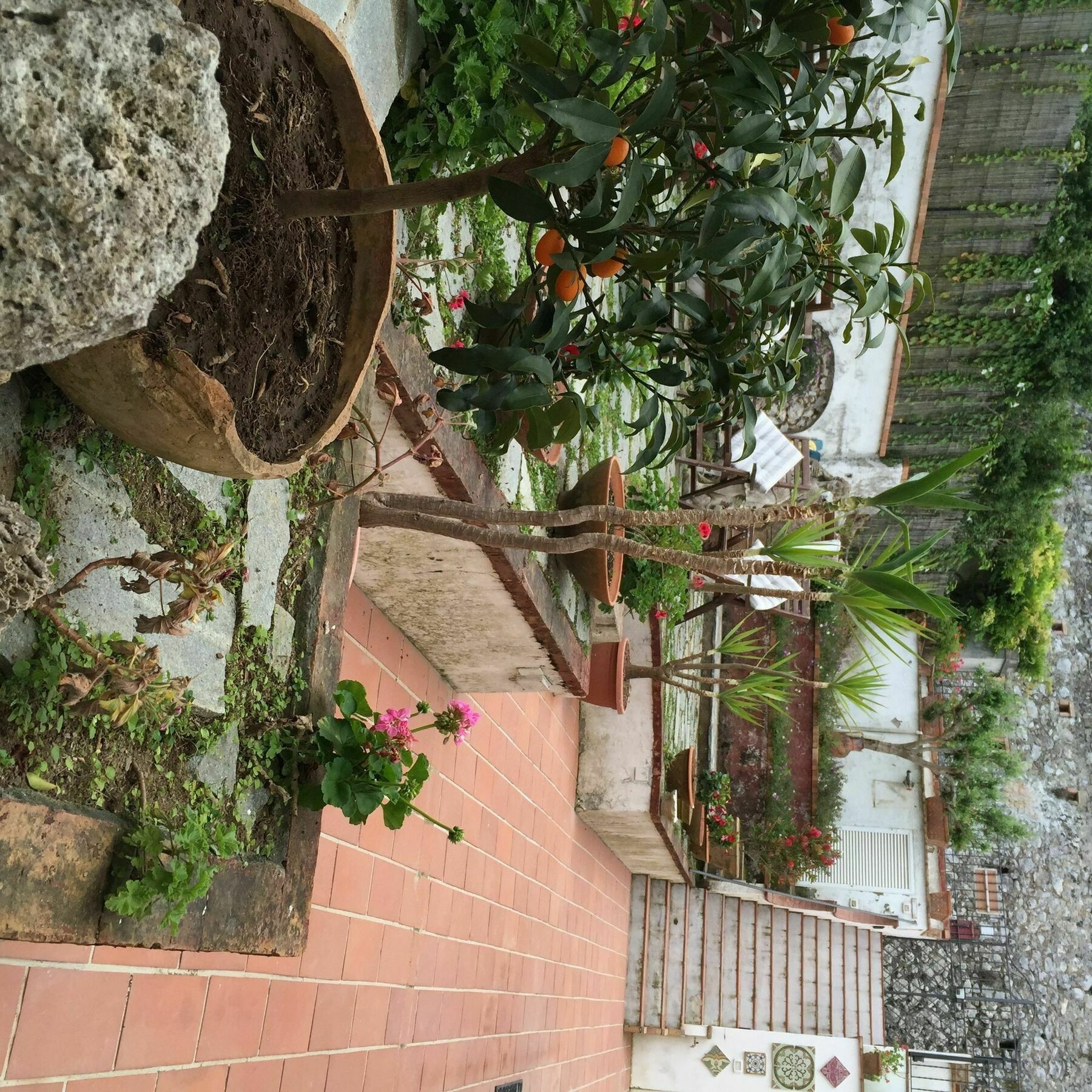 Mediterraneo Bed & Breakfast 아나카프리 외부 사진