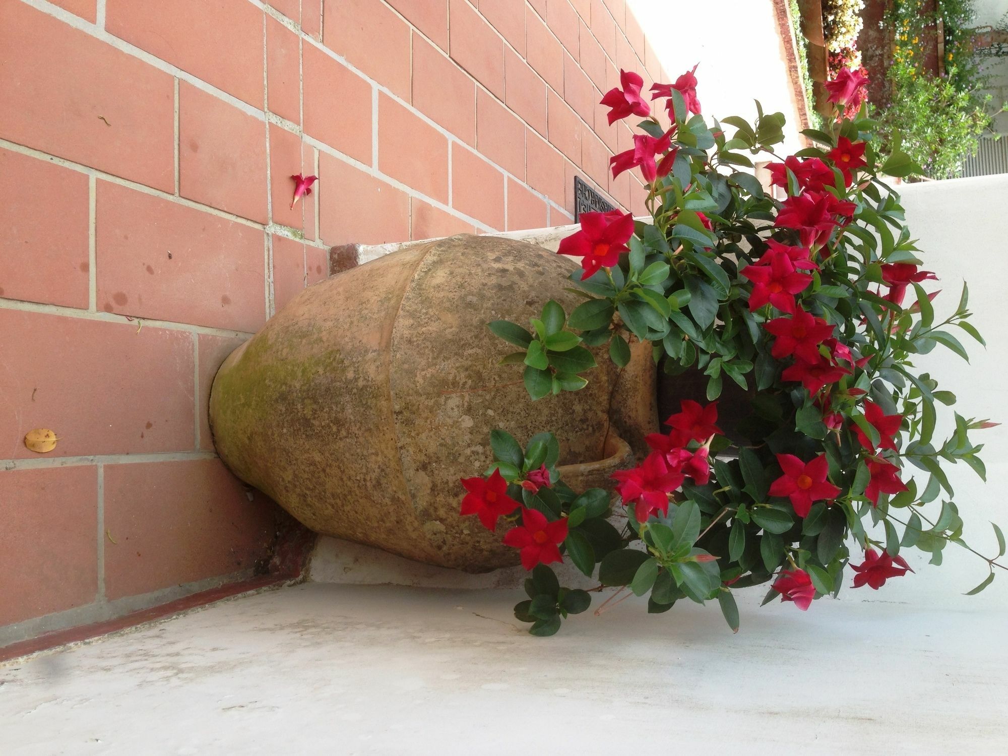 Mediterraneo Bed & Breakfast 아나카프리 외부 사진
